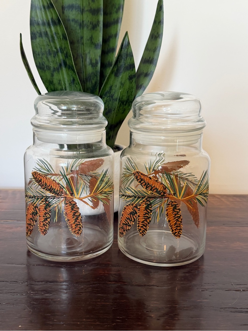 Glass Pinecone Rustic Apothecary Jars (2)